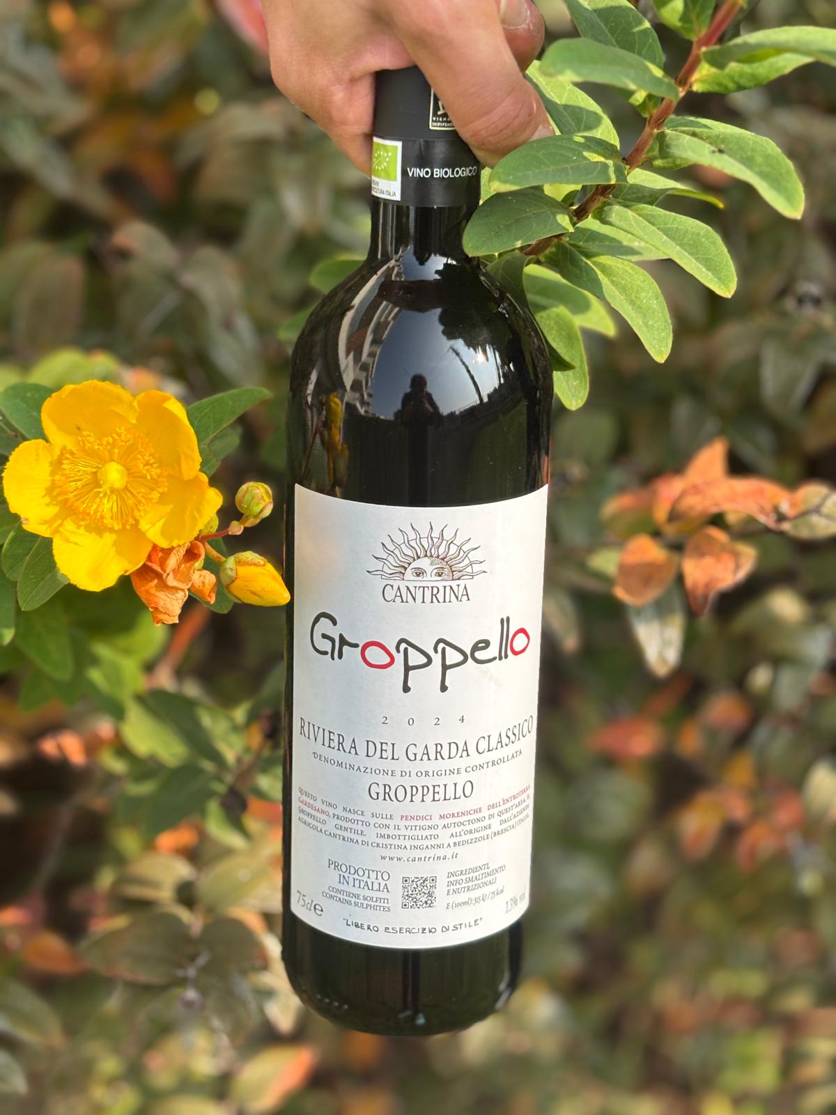 Groppello - Doc Riviera del Garda Classico