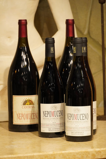 Nepomuceno - Igt Benaco bresciano rosso