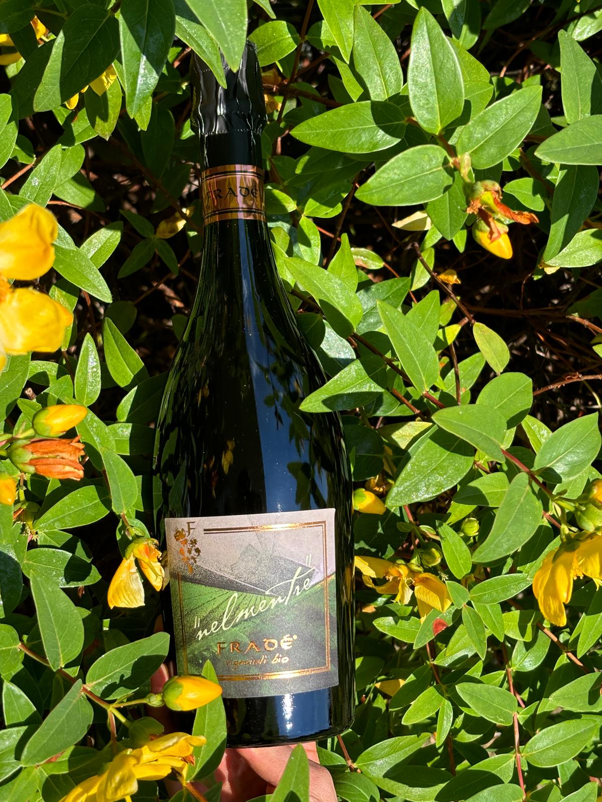 Nelmentre Brut Oltrepò Pavese