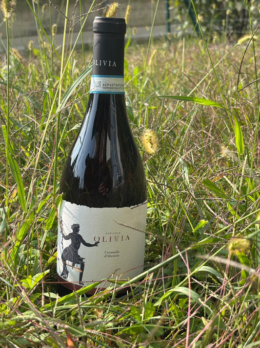 Cerasuolo d'Abruzzo Dop