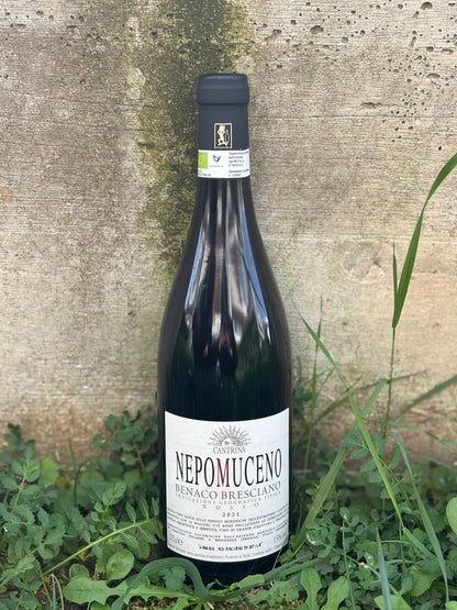 Nepomuceno - Igt Benaco bresciano rosso